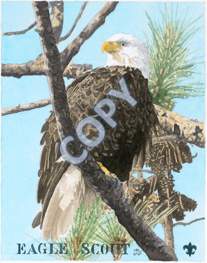 Eagle Scout Print Available at the Scout Shop 1 Eagle Scout Print
