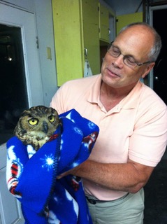 Brad Peebles Owl