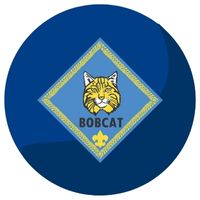 Join Cub Scouts Bobcat