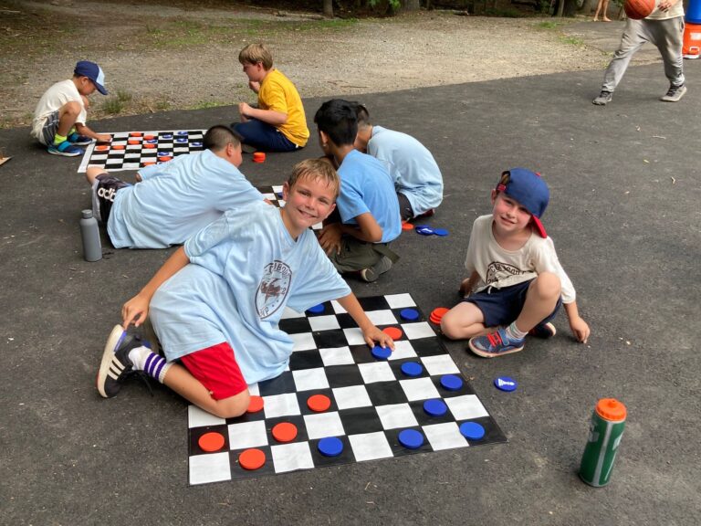 Stocks IRAs and Rollovers