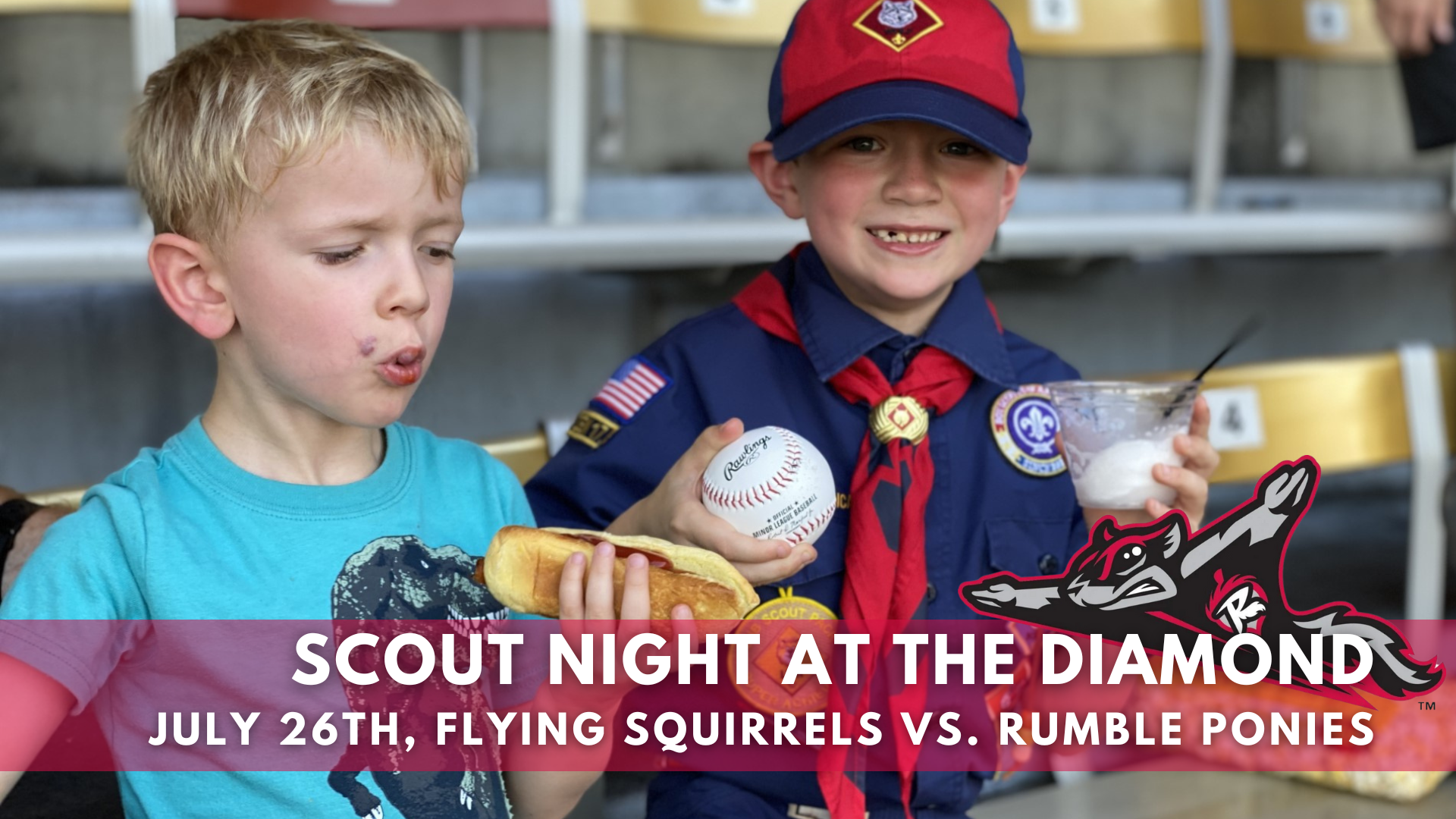 Scout Night at the Diamond