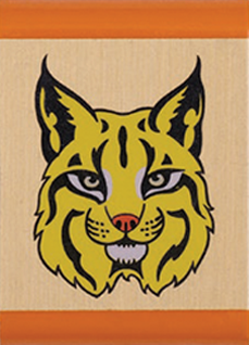 tiger bobcat
