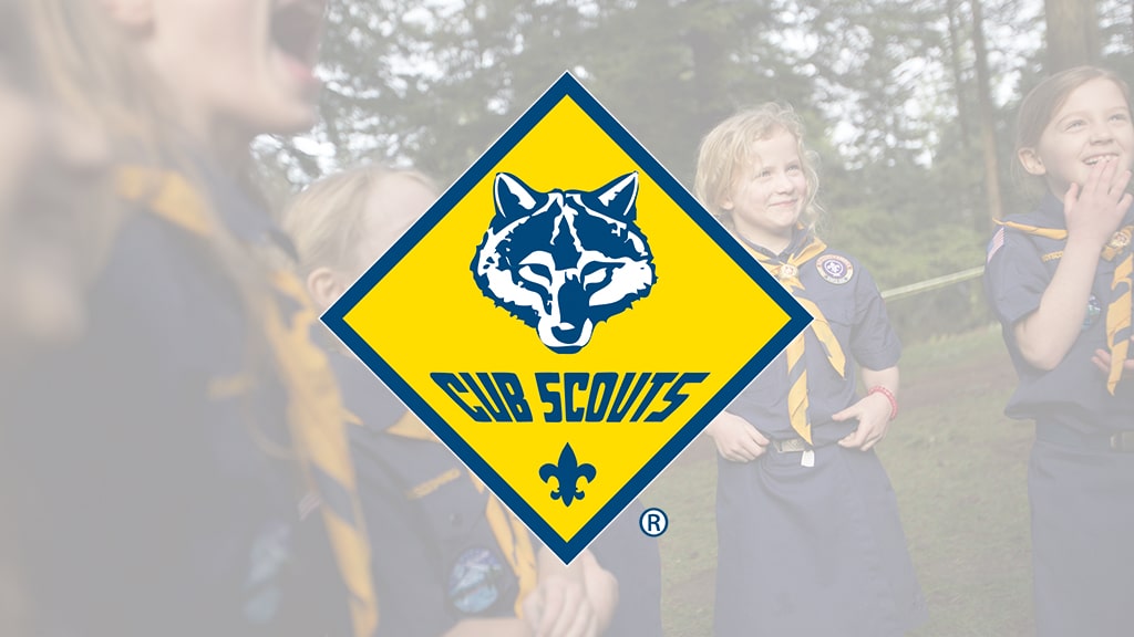 Cub Scouts