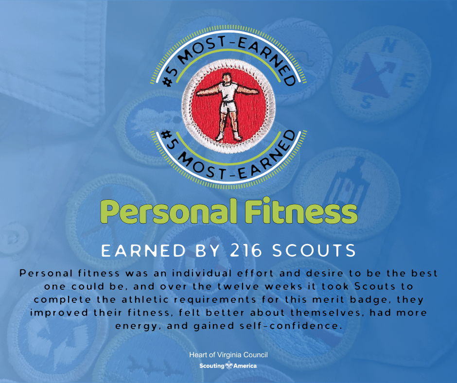 Top 5 Merit Badges #5