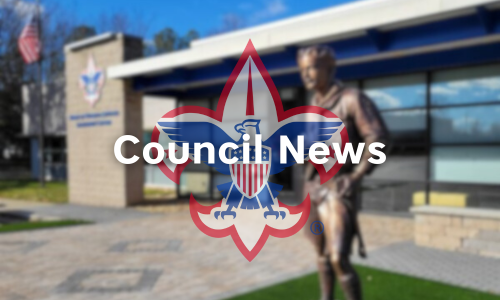 Council News Feature