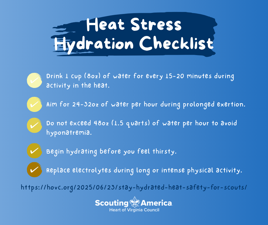 Stay Hydrated 2