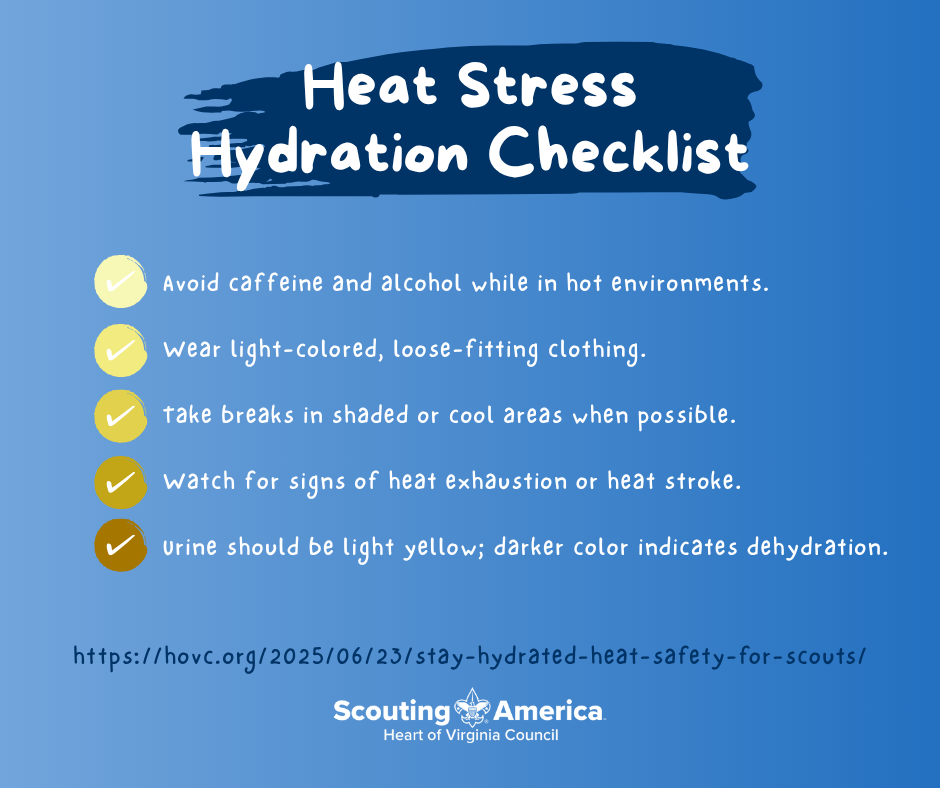 Stay Hydrated 3