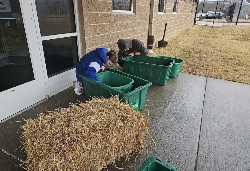 Taylor Campbell ESSPY Project 4