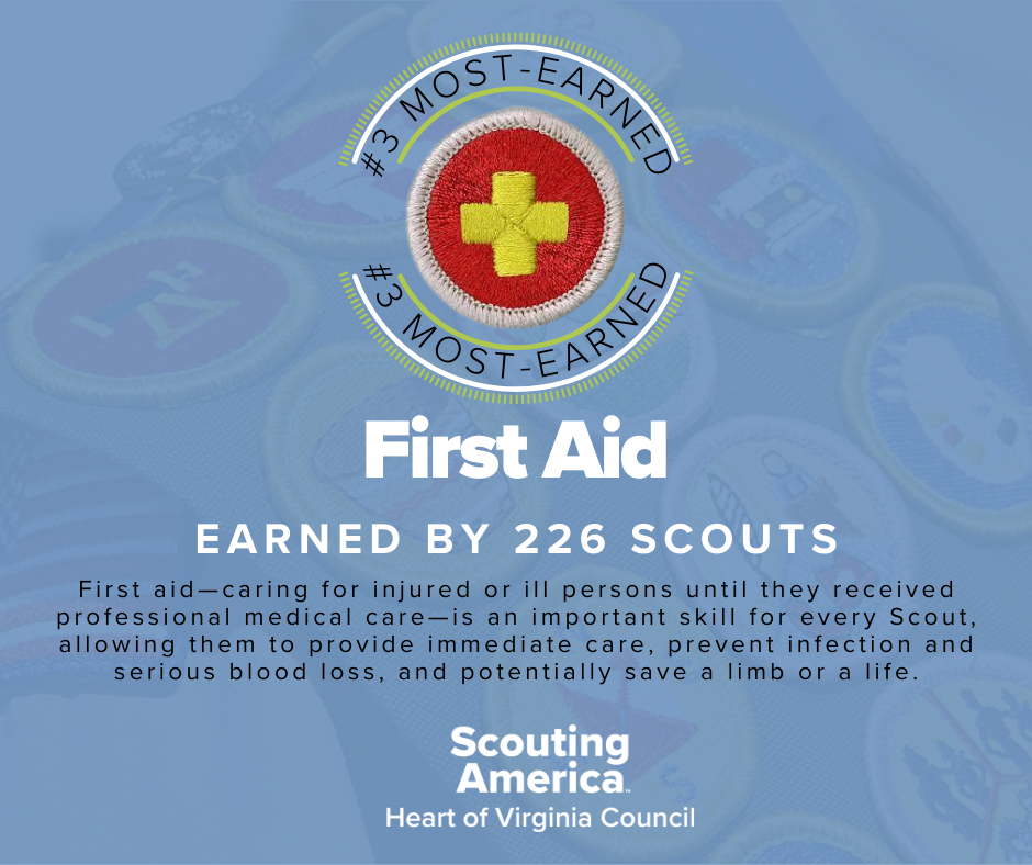 Top 5 Merit Badges (4) Top 5 Merit Badges (4)