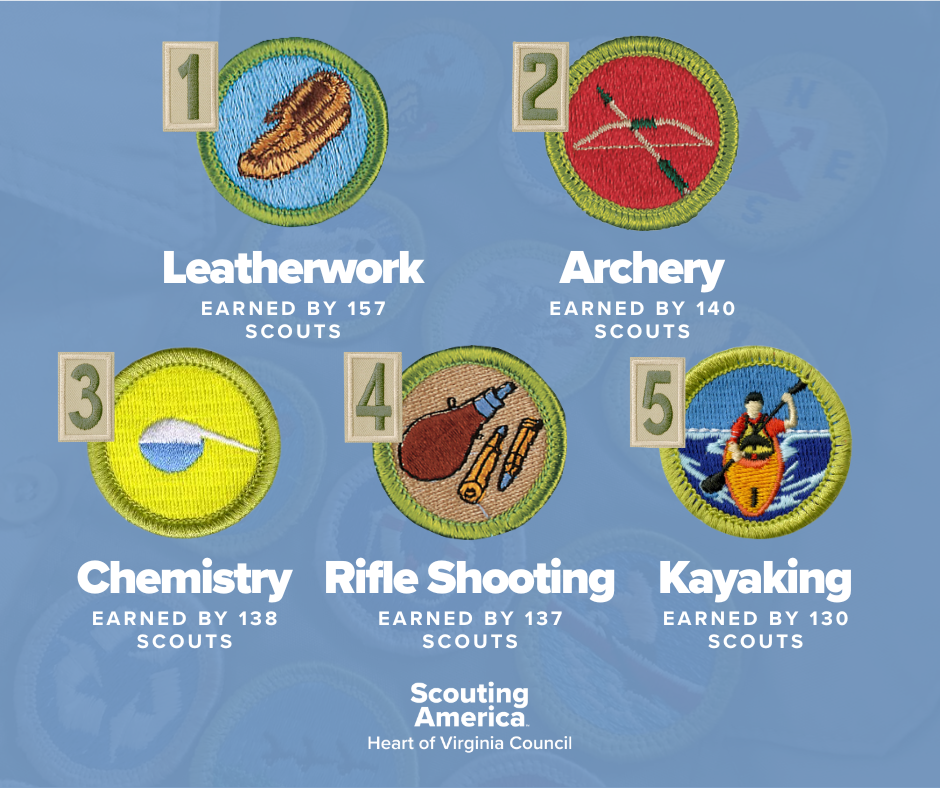 Top 5 Merit Badges Non-ER (1)