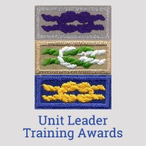 Adult Leader Awards on HOVC org